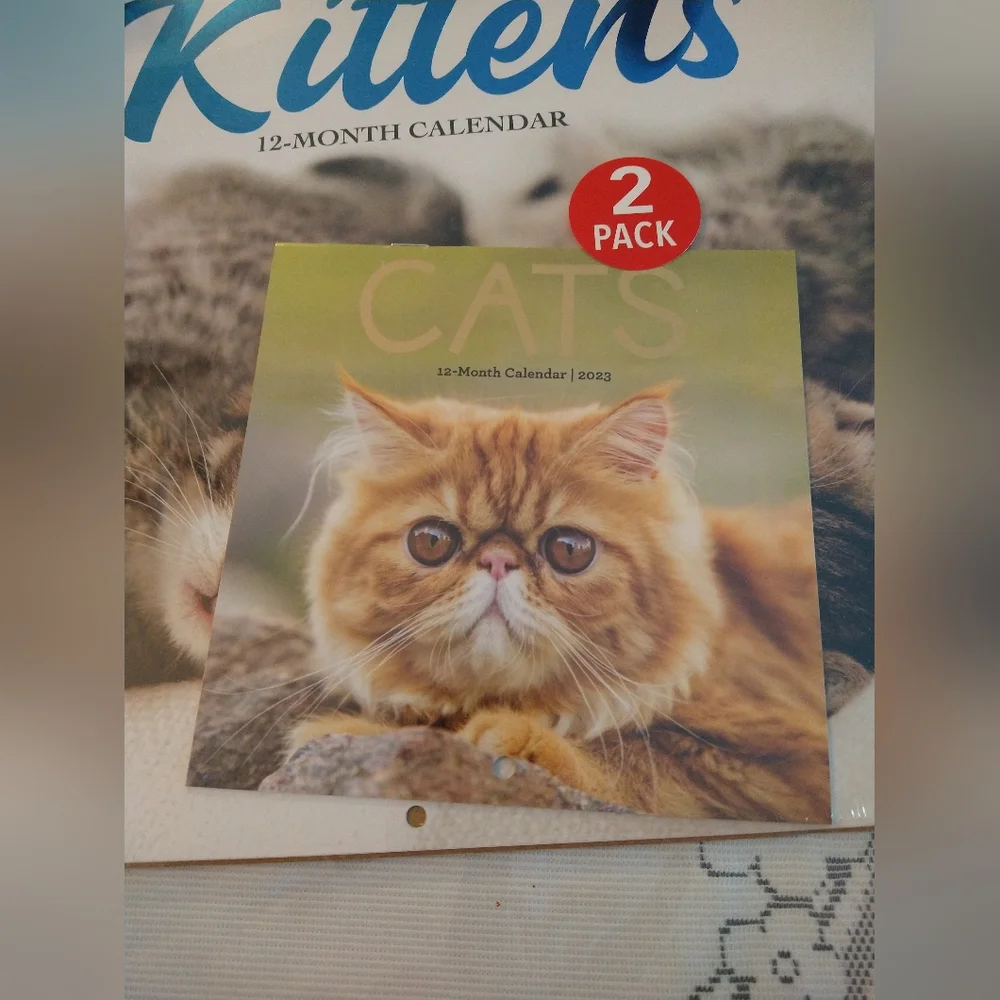 2023 Wall Calendar 12 Months and Pocket Calendar